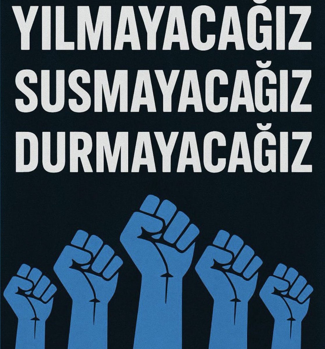 berçin Sebahattin tweet media
