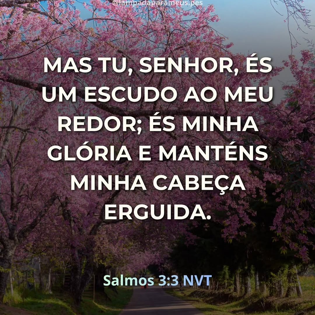 MensageirodaPa6's tweet photo. Salmos 3:3 nos lembra que Deus é nosso escudo e proteção. Ele não apenas nos guarda, mas também nos dá dignidade e força para manter a cabeça erguida diante das dificuldades. E que, mesmo em meio às batalhas, podemos caminhar com confiança porque o Senhor é quem nos sustenta. https://t.co/AOVlEe3hxy