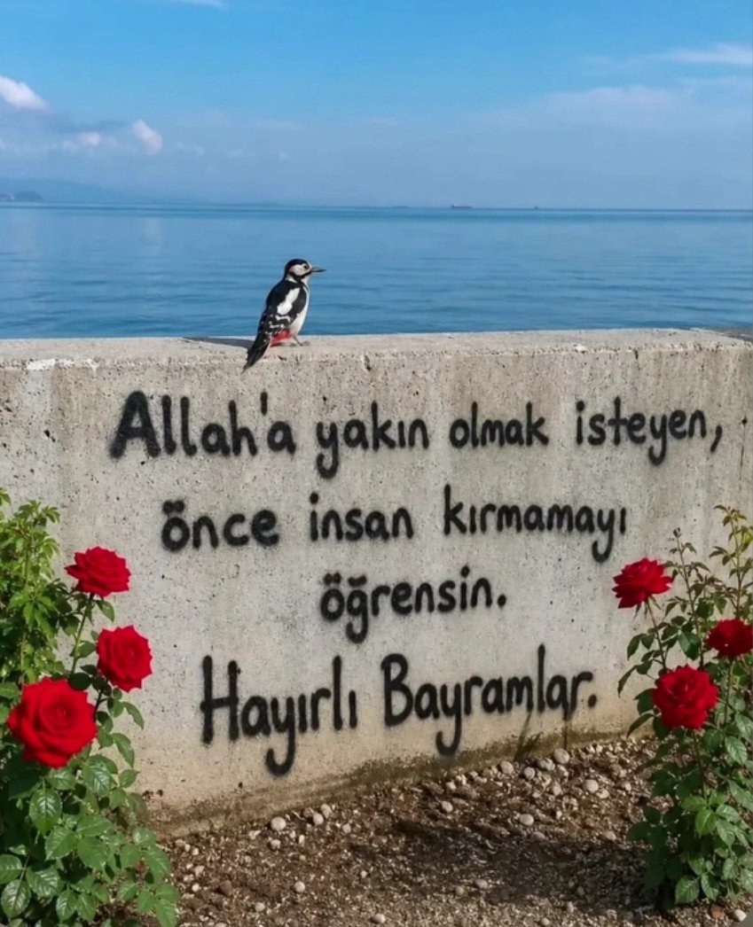 Mustafa32635293's tweet photo. https://t.co/gZj32ec5gm