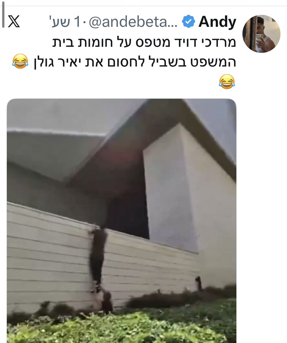 Dan Adin דן עדין tweet media