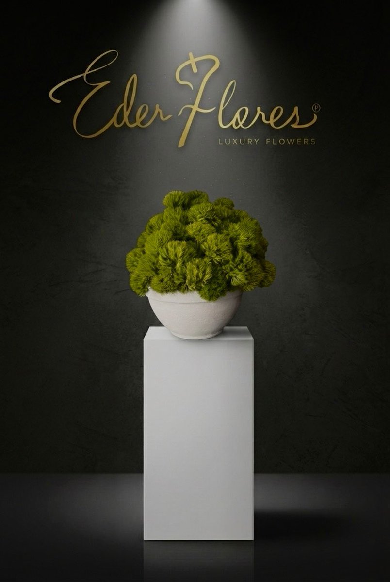 ederflores's tweet photo. EL SILENCIO HECHO ARTE
El minimalismo encuentra su voz en la forma, la textura, las líneas y la luz.
En el vacío, la pureza florece.
Cuando el color se retira, el diseño revela su alma más honesta.

Monocromía y acromía en blanco y verde:
una sinfonía contenida, una pausa que res https://t.co/obdVqdzWSp