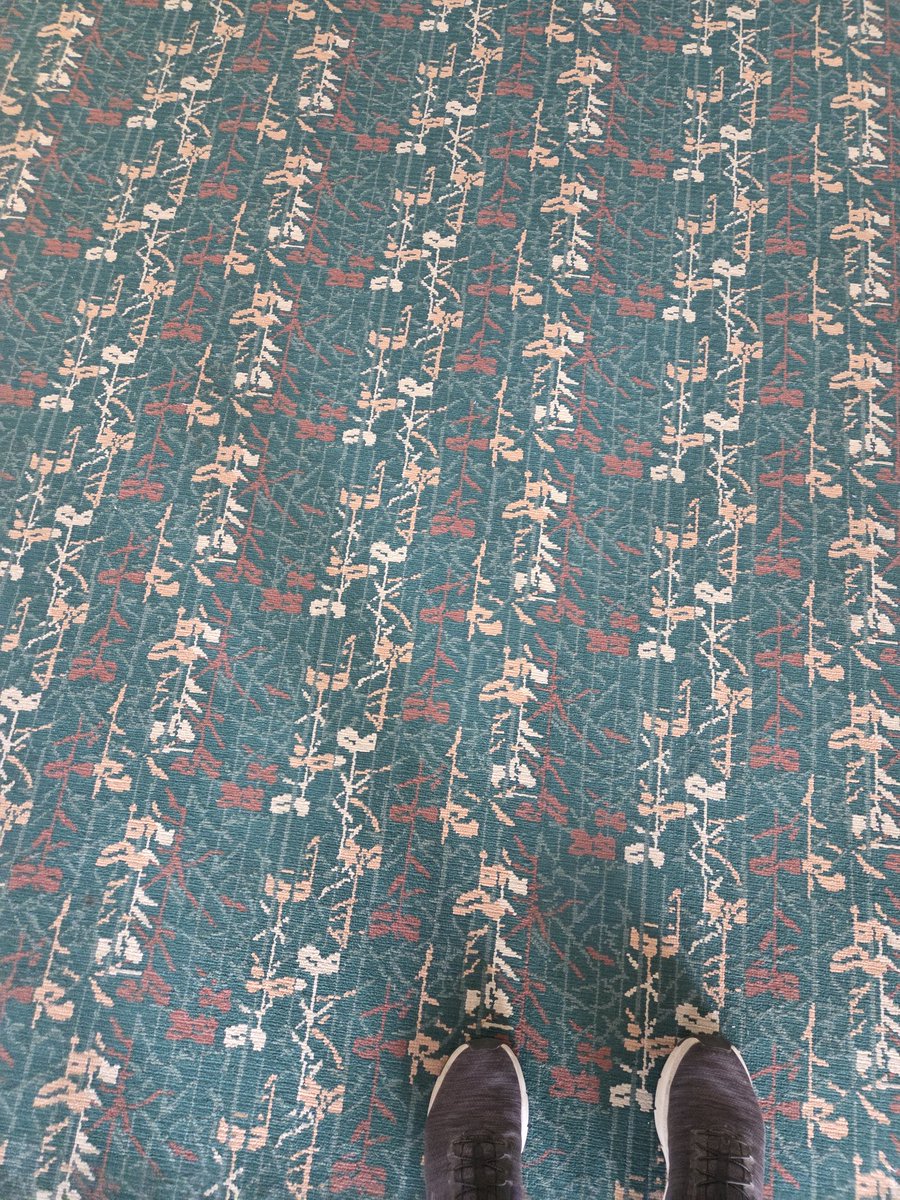 phrobertson's tweet photo. @MCO This is what I call the red carpet arrival! https://t.co/SkaKy32hxH