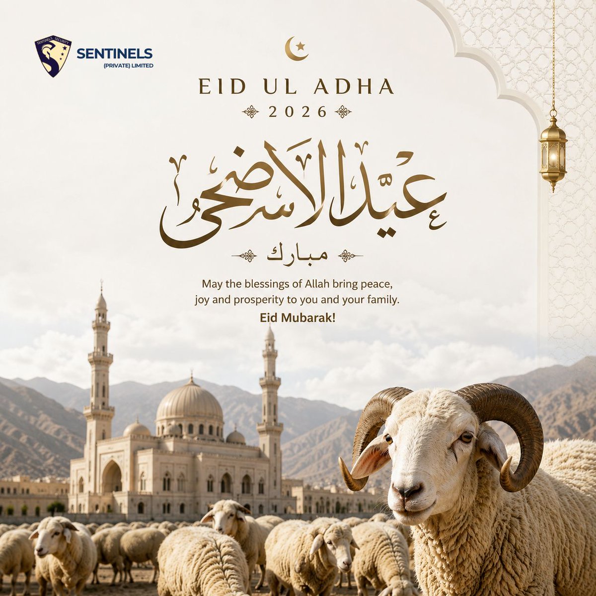 SentinelsPvtLtd's tweet photo. Eid ul Adha Mubarak 🌙✨

May faith, sacrifice, and gratitude fill your hearts with endless blessings. https://t.co/CCVKAWjns9
