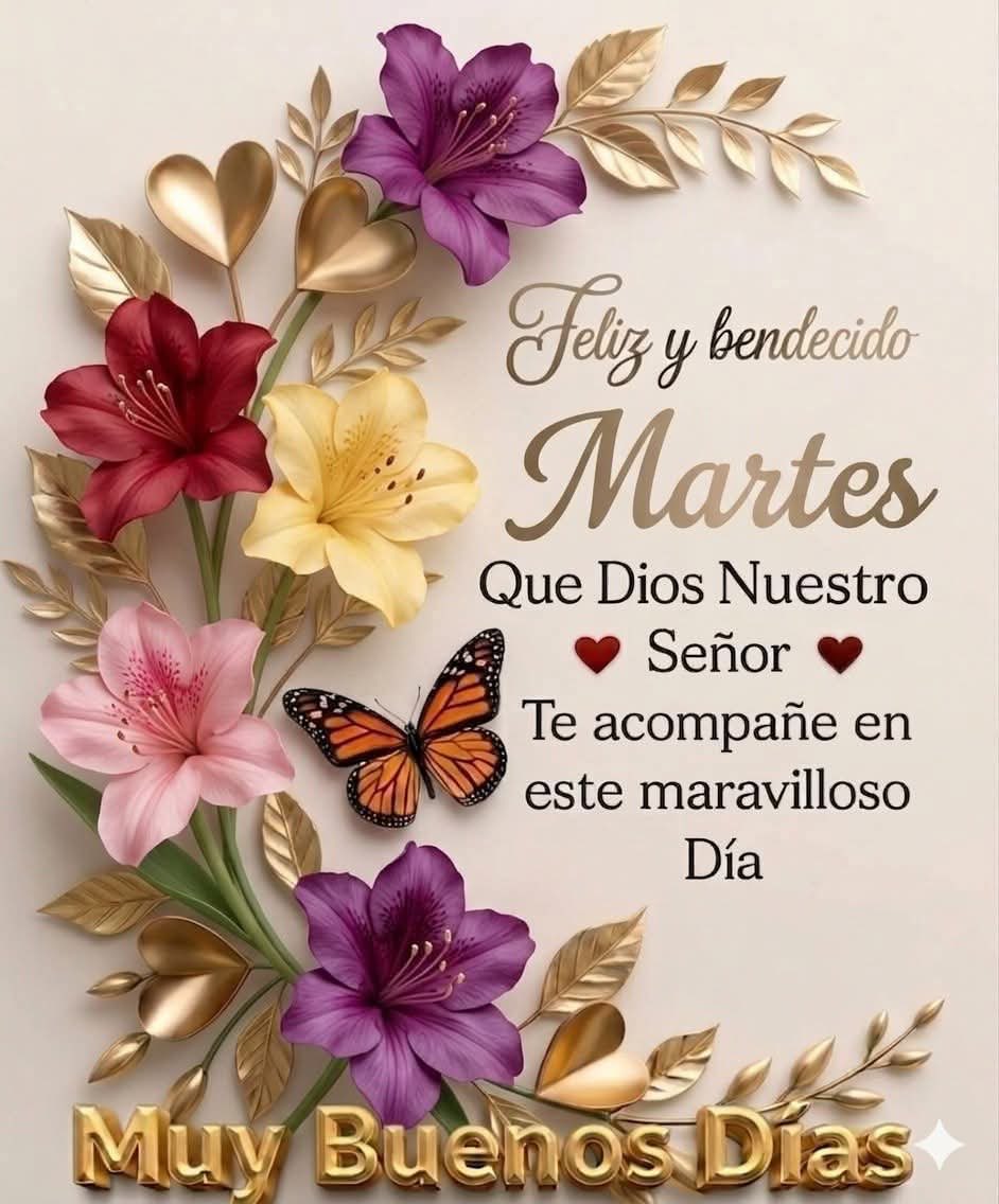 rodilser's tweet photo. @CastucciLucia https://t.co/cpWKoU9Pp9
