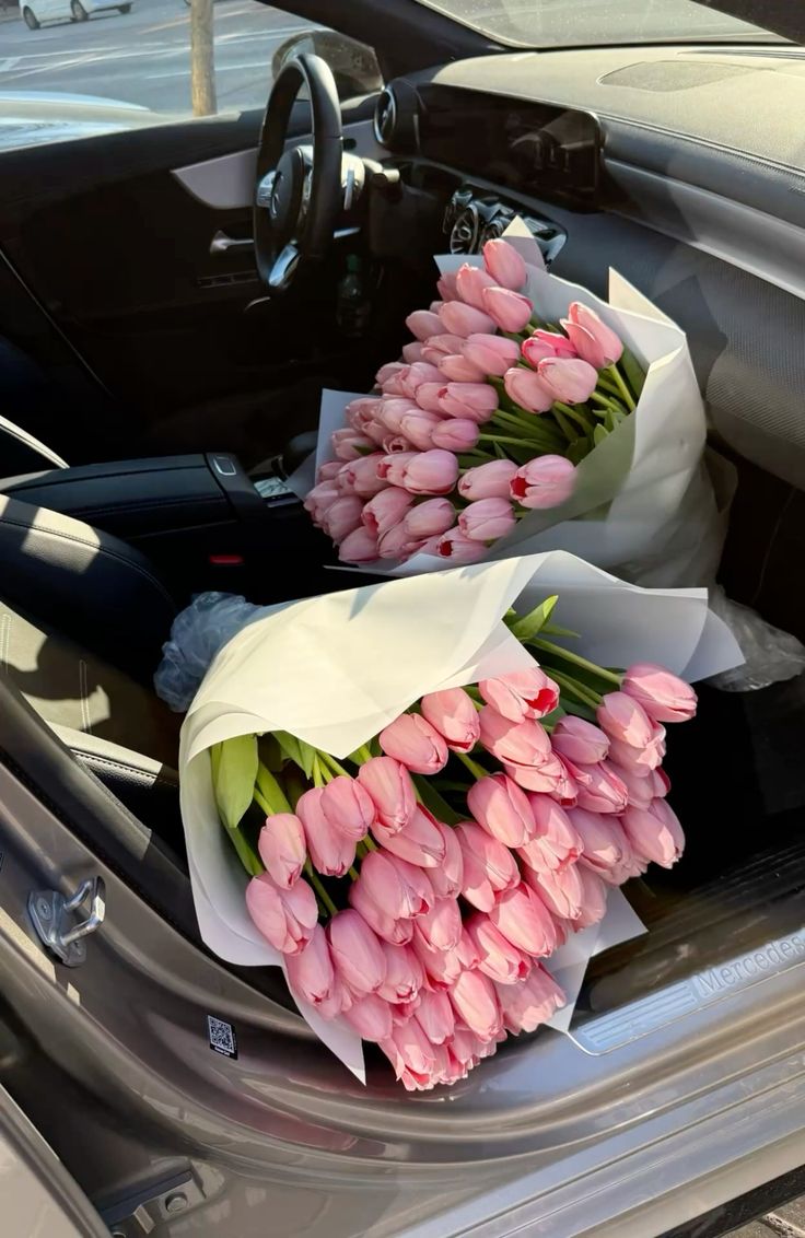 Only Tulips tweet media