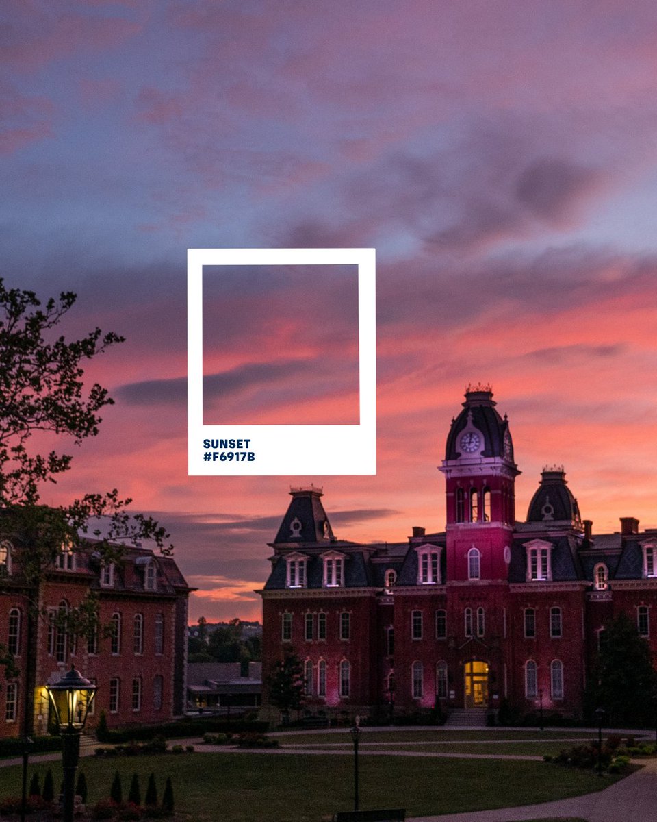 WVUStudentLife's tweet photo. Campus colors 🎨 https://t.co/tSoU9woOVg
