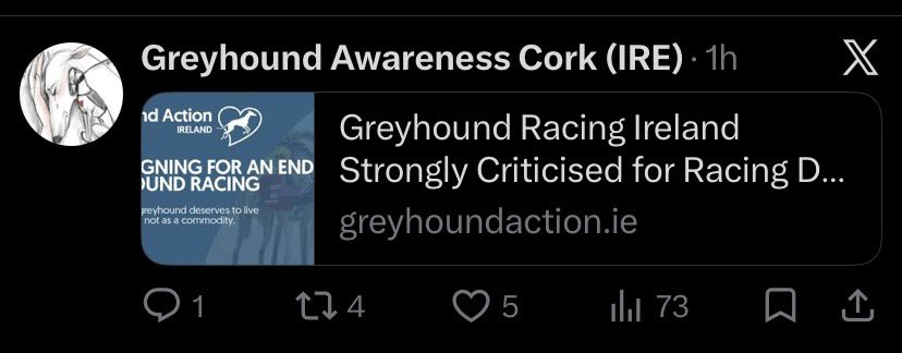 Pól O’Faircheallaigh 🇮🇪 tweet media