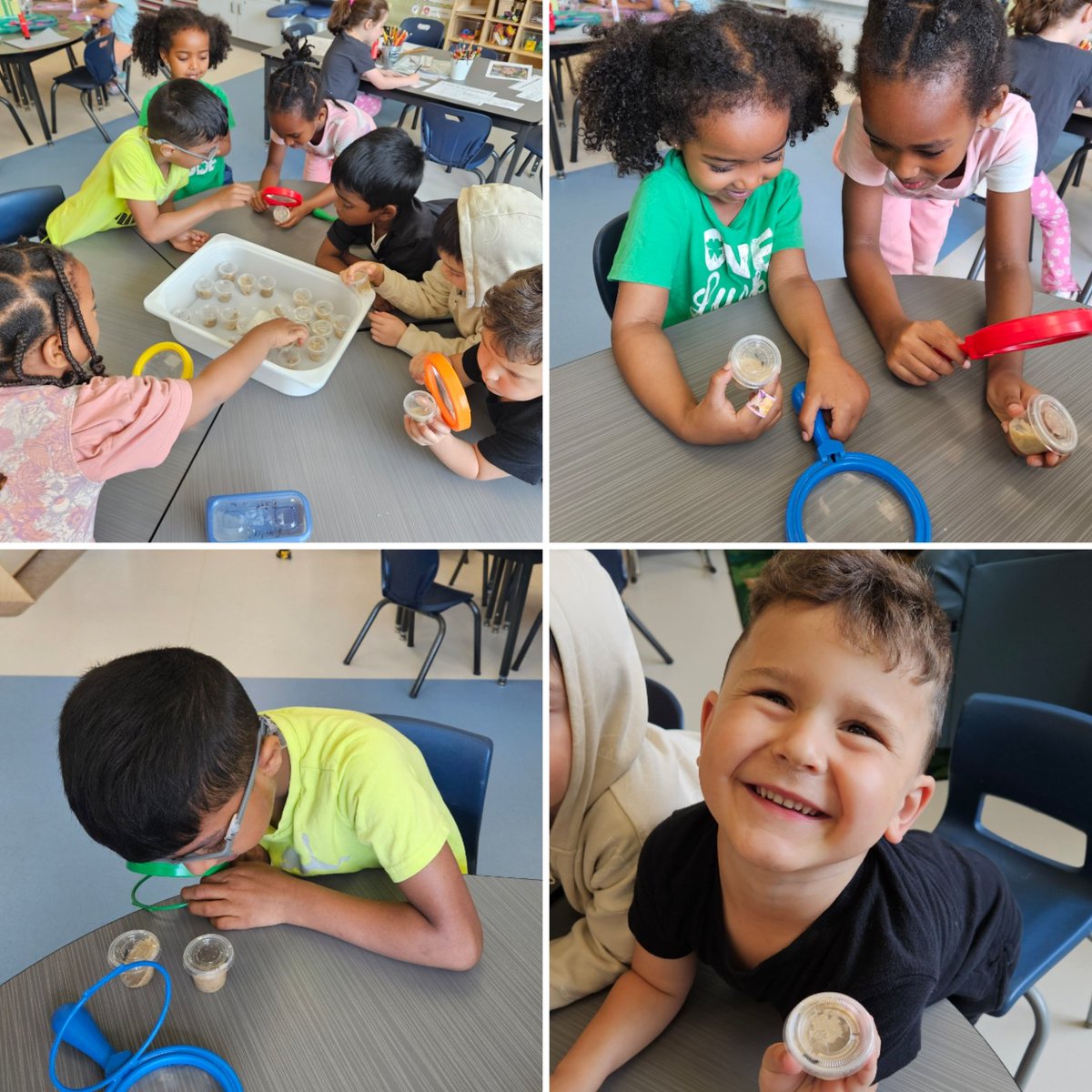 mmevanneste's tweet photo. Les chenilles! 🐛 Our caterpillar observation centre was a busy spot today! We transferred the last 6 caterpillars to their new homes. We wonder how many of the 36 caterpillars will become "des papillons". 🦋 @StVeronicaOCSB @OttCatholicSB #ocsbDL #InquiryBasedLearning https://t.co/Jd2mII0yL0