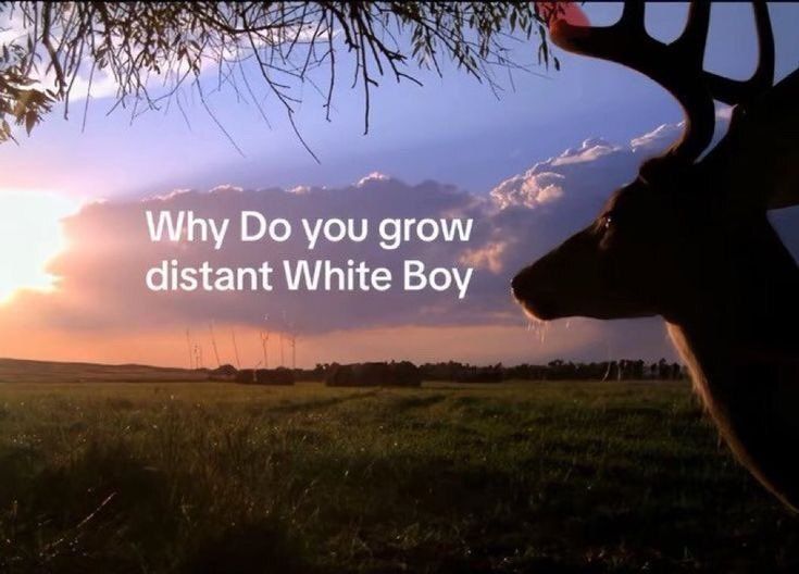 (CHECK PINNED) Deer in Places they Shouldn't Be tweet media