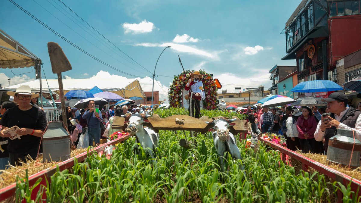 FerFlores_Emp's tweet photo. De tradición, música y alegría se visten las calles de Metepec con una de las celebraciones más esperadas por nuestras familias: el Paseo de la Agricultura en honor a San Isidro Labrador 🎶🌾

Me llena de orgullo ver cómo nuestras raíces, costumbres y fe siguen uniendo a generaciones enteras en torno a una tradición que da identidad y vida a nuestro municipio. Gracias a todas y todos los que hacen posible esta gran fiesta, manteniendo vivo el espíritu y la esencia de #Metepec. 

#Metepec #SanIsidroLabrador #Tradición #PaseoDeLaAgricultura