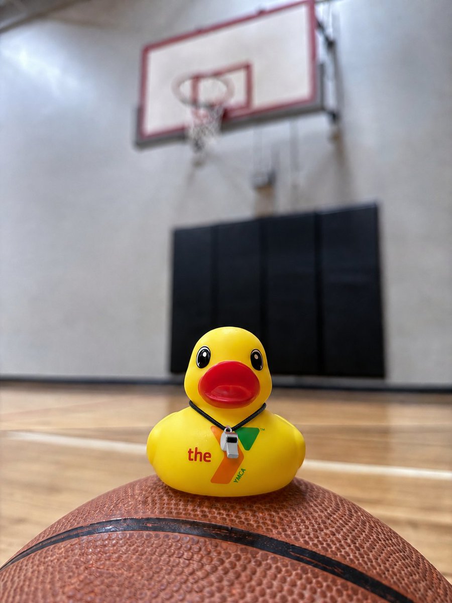 AMAYMCA's tweet photo. ☀️ Meet Wyatt the Y Duck! 🐥💦
Wyatt just flew in for the season  and is ready to spend his summer days at the AMA YMCA! ☀️😎
He can’t wait to go on summer adventures all around the Y. 🕶️🏀🏊
Who’s ready for summer at the Y with Wyatt? 🐥💙 https://t.co/7YOQb5Oisl