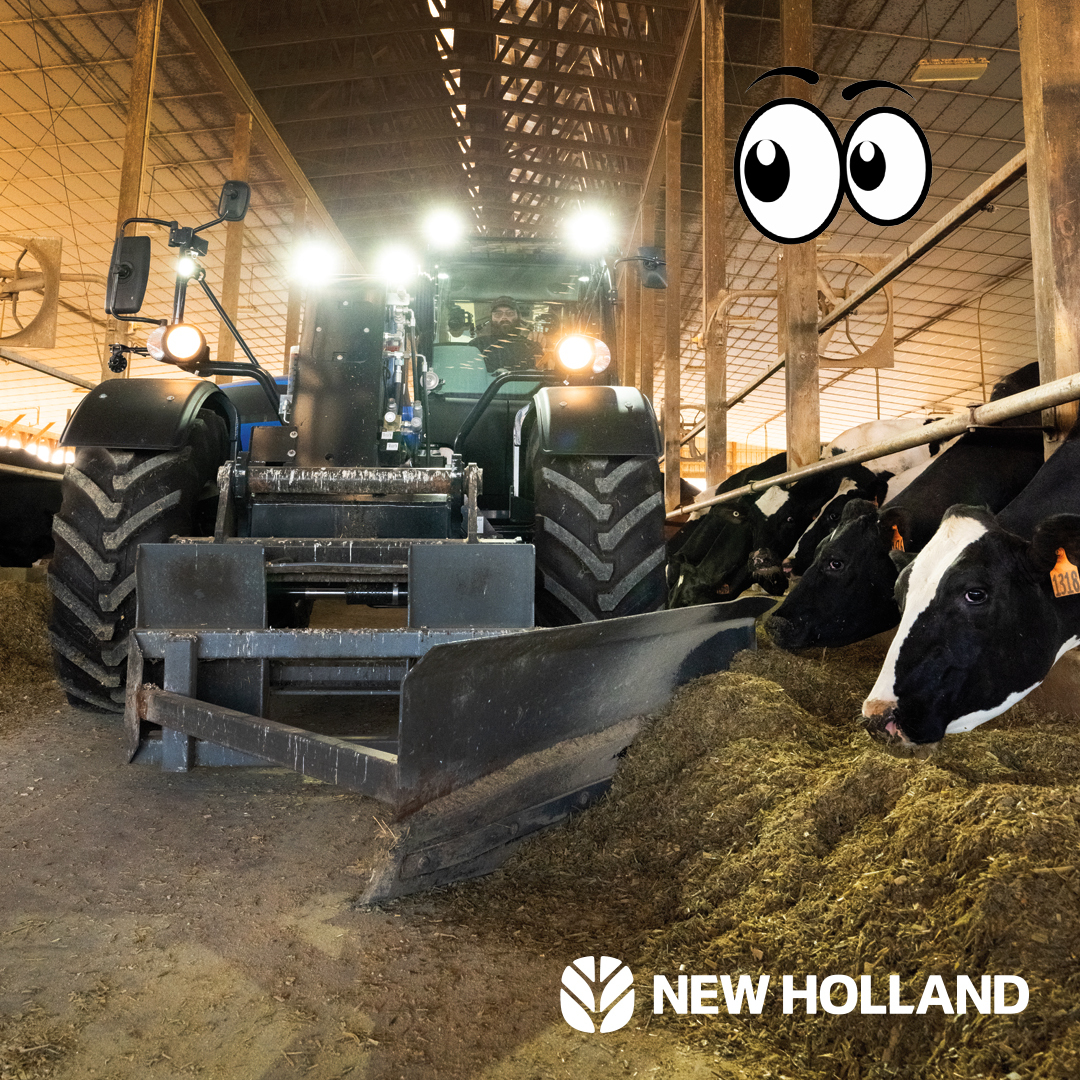 Alta_Implement's tweet photo. When the workload is heavy, and the herd is watching. Put impressive lift capacity, reach, and maneuverability to work with a New Holland TH Series telehandler, built to keep productivity moving smoothly around the farm. https://t.co/xtwNcY0DMX https://t.co/IIyxokIT0W