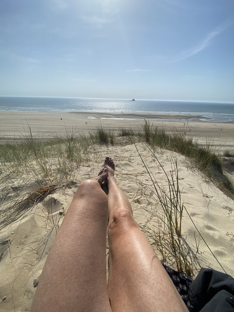 SIMONETEric's tweet photo. Week end sur la #cotedopale au milieu d’une nature riche. Un vrai paradis avec des températures agréables. #naturisme #dunes #hautdefrance https://t.co/zWk6fnHoyY