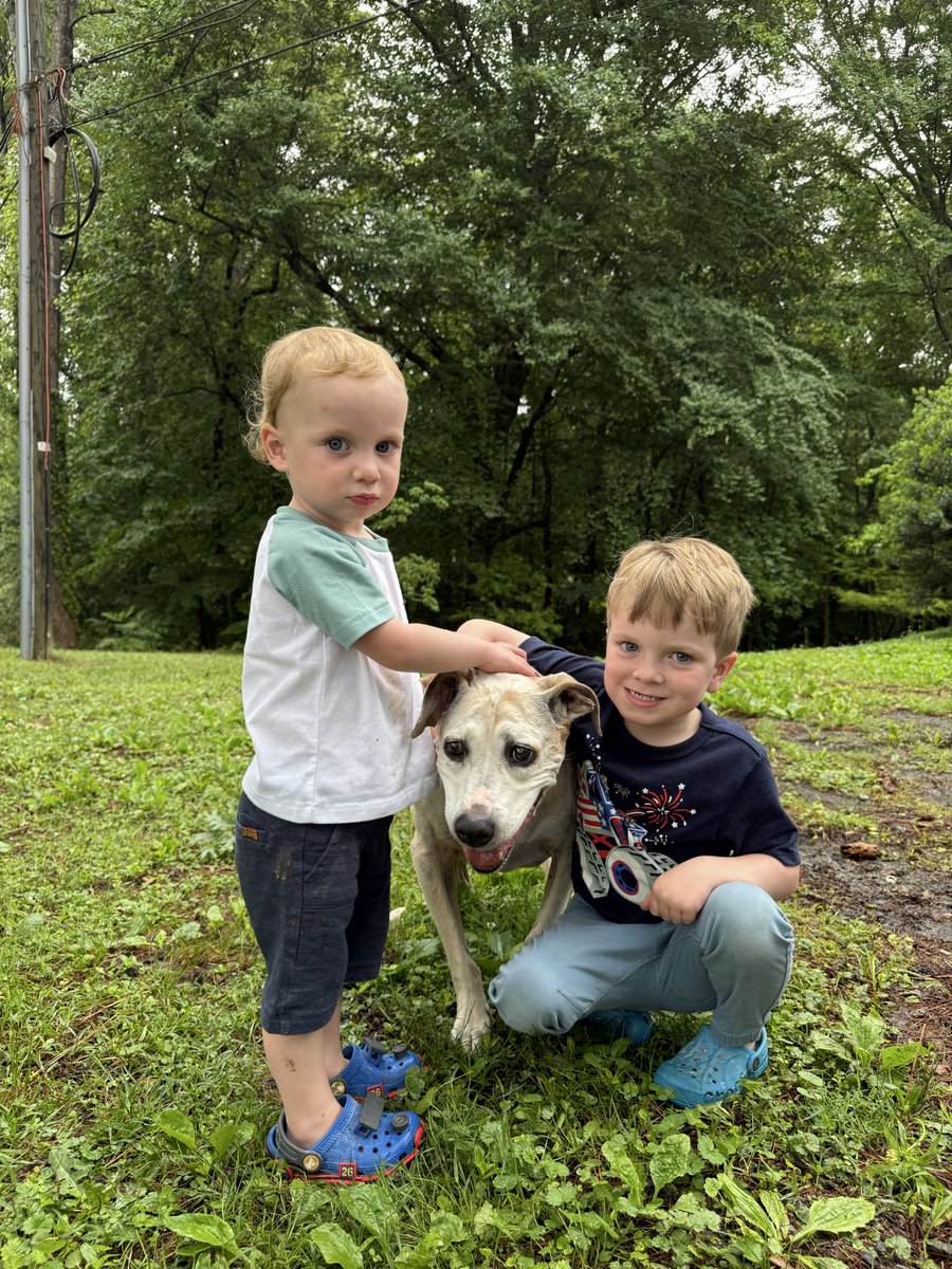 Shea Foster tweet media