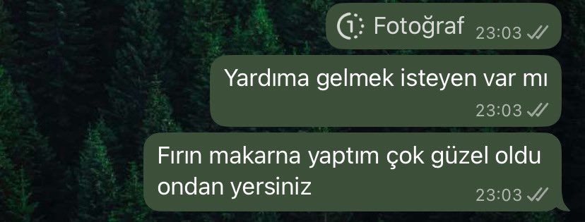 z• tweet media