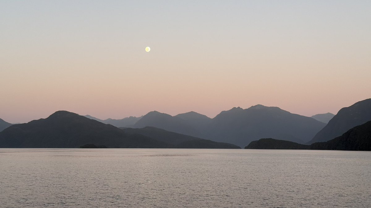 LundmanMike's tweet photo. Good morning Dusky sound, it’s been awhile 😇 https://t.co/WYCXEhHlB6