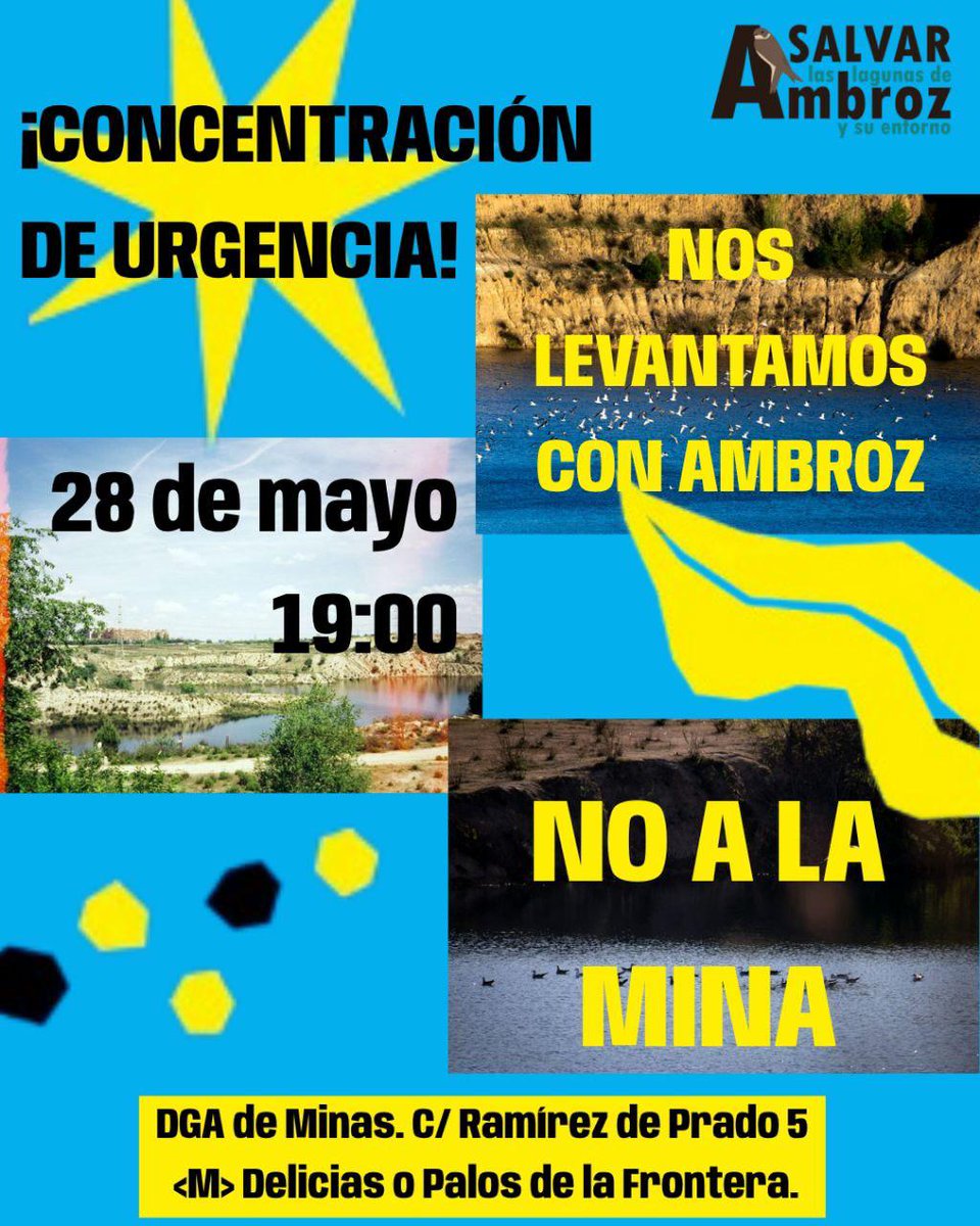 🌱CaniBlas Ambiental tweet media