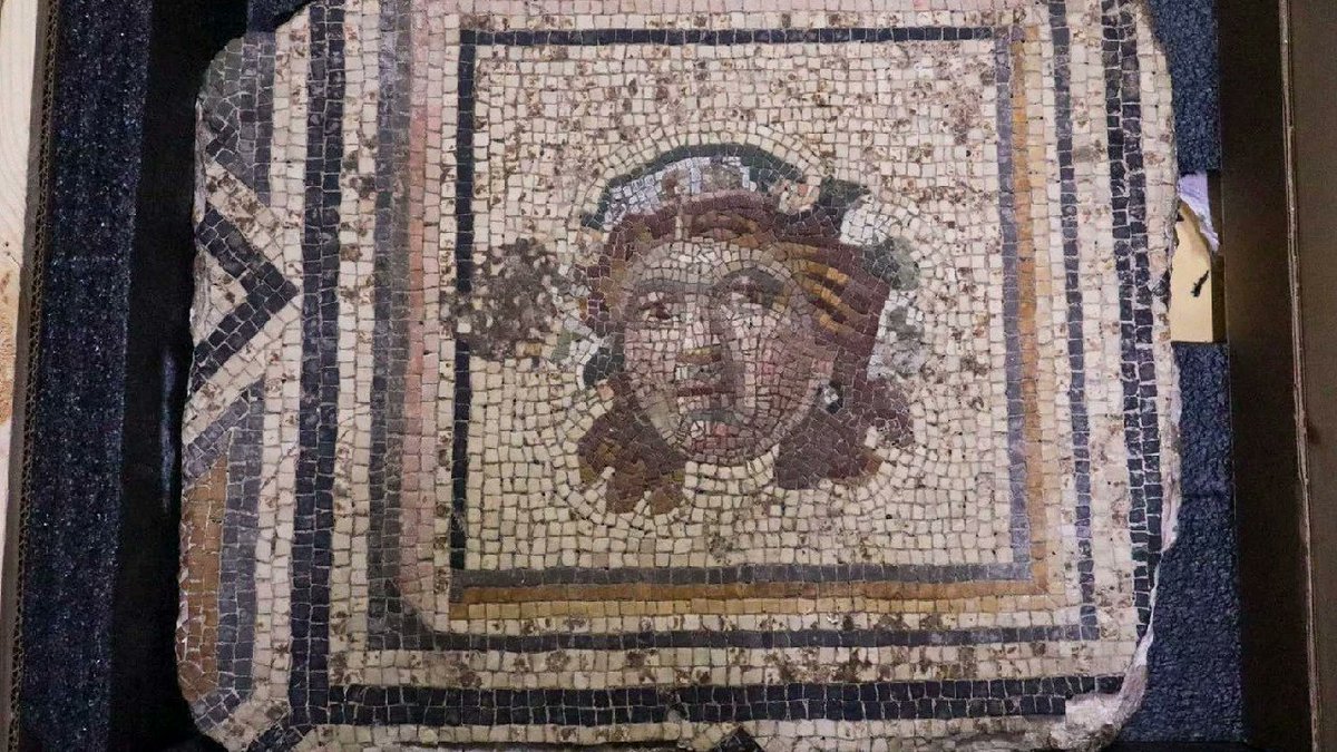 arkeolojihaber's tweet photo. 📍 Zeugma Antik Kenti’ne ait “Çingene Kızı” mozaiğinin kayıp parçalarından biri daha Türkiye’ye getirildi. ABD’de ortaya çıkan mozaik panel, bilimsel incelemeler ve diplomatik girişimlerin ardından ait olduğu topraklara döndü. Böylece daha önce iadesi sağlanan 12 parçanın ardından büyük kompozisyonun bir eksik bölümü daha tamamlanmış oldu.

Zeugma’nın kayıp parçası nasıl bulundu?
Gaziantep’in Gaziantep kentindeki Zeugma Antik Kenti’nde 1998 yılında gerçekleştirilen kurtarma kazılarında dev bir taban mozaiği ortaya çıkarılmıştı. Yaklaşık 9,25 x 13,50 metre ölçülerindeki bu kompozisyon içerisinde yer alan ve kamuoyunda “Çingene Kızı” olarak bilinen Maenad figürü, yıllar içinde Türkiye’nin en tanınan tarihi eserlerinden biri haline geldi. Yeni getirilen panelin izi ise uluslararası bilimsel çalışmalar sayesinde sürüldü. Grenoble Alpes Üniversitesi’nden Dr. Djamila Fellague tarafından yapılan araştırmalarda, eserin büyük kompozisyona ait olabileceği değerlendirildi. Daha sonra panelin çevrim içi bir müzayede platformunda satışa çıkarıldığı bilgisi Türk yetkililere ulaştırıldı.

Bilimsel inceleme Türkiye’nin elini güçlendirdi
Kültür ve Turizm Bakanlığı uzmanları tarafından yapılan incelemelerde panelin tessera renkleri, geometrik bordür yapısı, kompozisyon düzeni ve sökülme izleri bakımından “Çingene Kızı” mozaiğiyle büyük benzerlik taşıdığı tespit edildi. Elde edilen bilimsel veriler, ABD makamlarına sunuldu. Türkiye’nin talebi üzerine Amerikan İç Güvenlik Soruşturmaları Birimi devreye girerken, daha önce Bowling Green Üniversitesinden iadesi sağlanan 12 parçanın bulunması da hukuki süreci Türkiye lehine güçlendirdi.

Eser yeniden Zeugma’ya kavuşacak
Soruşturmanın tamamlanmasının ardından mozaik paneli Chicago Başkonsolosluğu’na teslim edildi ve Turkish Airlines ile Turkish Cargo aracılığıyla Türkiye’ye getirildi. Ankara’daki Anadolu Medeniyetleri Müzesi’ne teslim edilen eser, işlemlerin tamamlanmasının ardından Zeugma Mozaik Müzesi’nde sergilenecek. Böylece “Çingene Kızı” mozaiğinin eksik parçalarından biri daha yıllar sonra ait olduğu kompozisyona yeniden kavuşmuş olacak. Kaynak: https://t.co/rS1kQyKYWY (25.05.2026)
