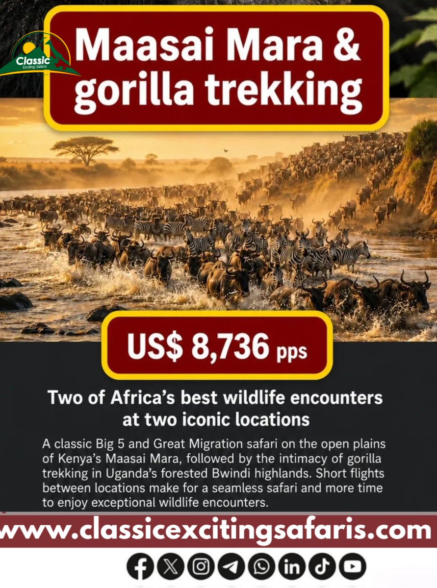 ExcitingClassic's tweet photo. East Africa offers the ultimate global safari experience,highlighted by the iconic Great Wildebeest Migration, the Big Five savannah game drives, and endangered mountain gorilla trekking. The region seamlessly links dense rainforests, vast grasslands, and pristine beaches across. https://t.co/4V6ZOq674n