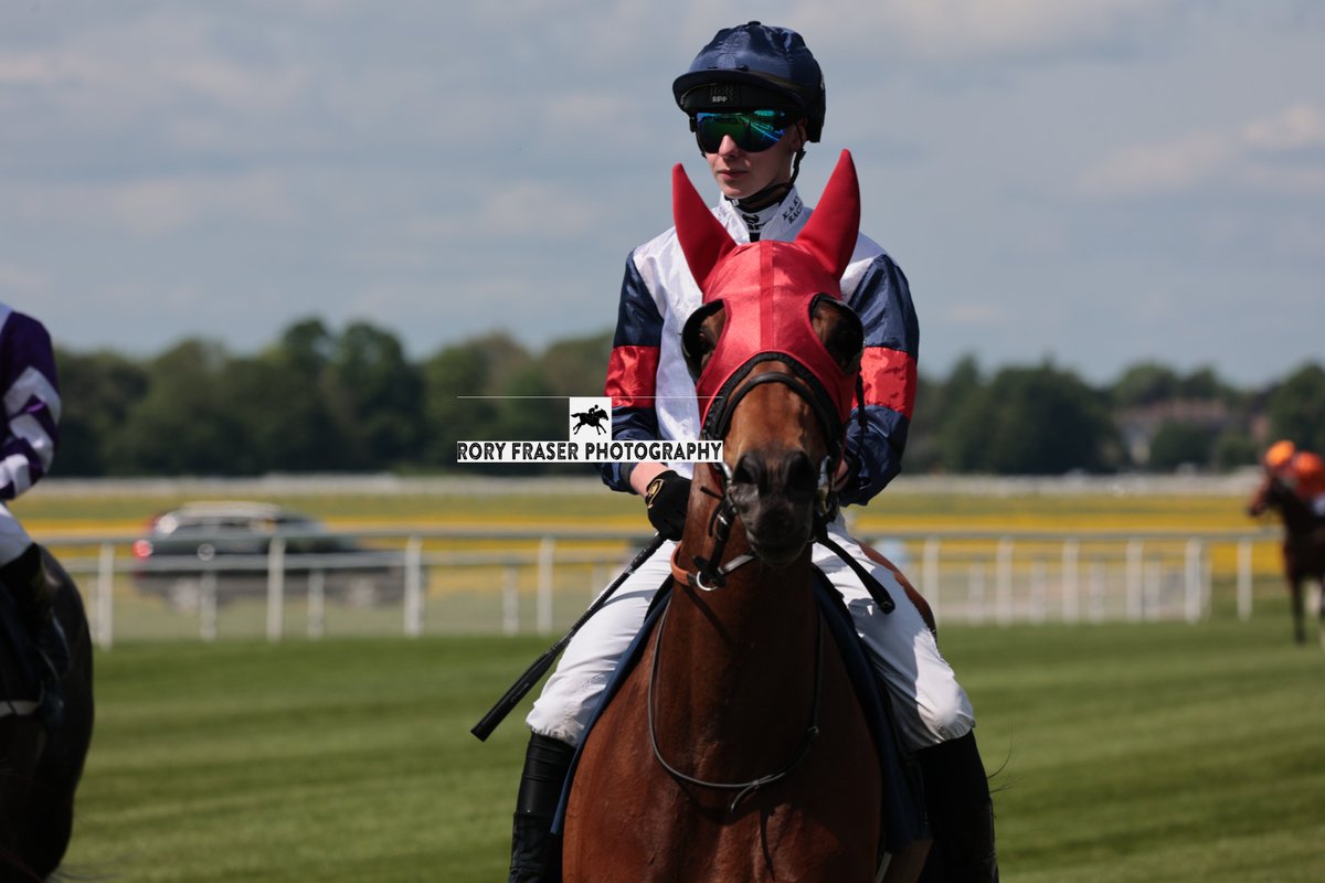 92RoryF's tweet photo. VANTHEMAN (Invincible Army x Laila Honiwillow) at York on Saturday for a class two handicap (5f) - prior to being withdrawn at the start
Trained by @kevinryanracing and owned by Alison Muir Tonge &amp; Colin Paterson.
A winner for the fifth time in his career on previous start. https://t.co/M8BXmQS07i