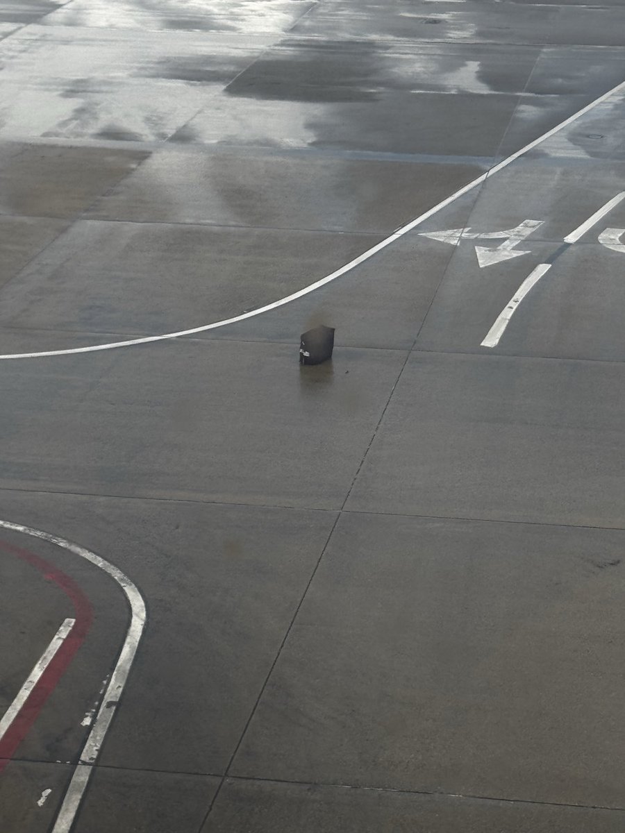 ApolloSheppy's tweet photo. Mmmmm delicious wet baggage on the ramp

And this is why I preach hard cases. https://t.co/bZ5j1Dscvo