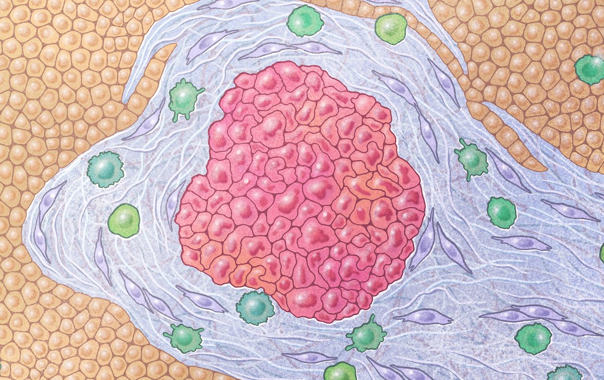EricTopol's tweet photo. A small randomized trial in patients with metastatic pancreatic cancer found benefit for paricalcitol, a Vitamin D analog https://t.co/CDnIwm0xeo
Good @salkinstitute explainer https://t.co/QgEKHiquIa https://t.co/m32CFTInJA