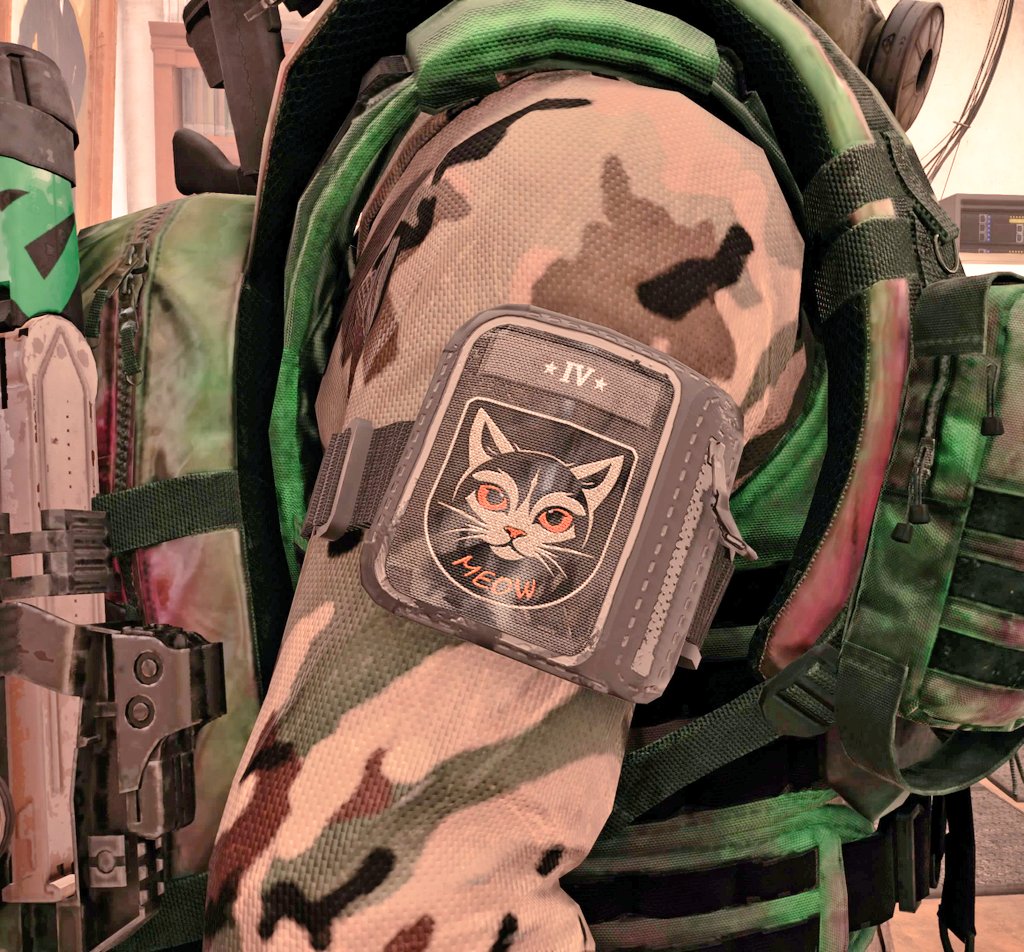Technosuke2024's tweet photo. 〈ディビジョン2日記〉Division2

ミッションで猫助けたらな

お礼ににゃんこのワッペン貰えてん

どや？　かわええやろ？

ストライカー以外で火力の上がる
装備揃えたいと願う今日この頃

#ディビジョン2
#Division2 https://t.co/LUoTPDud7e