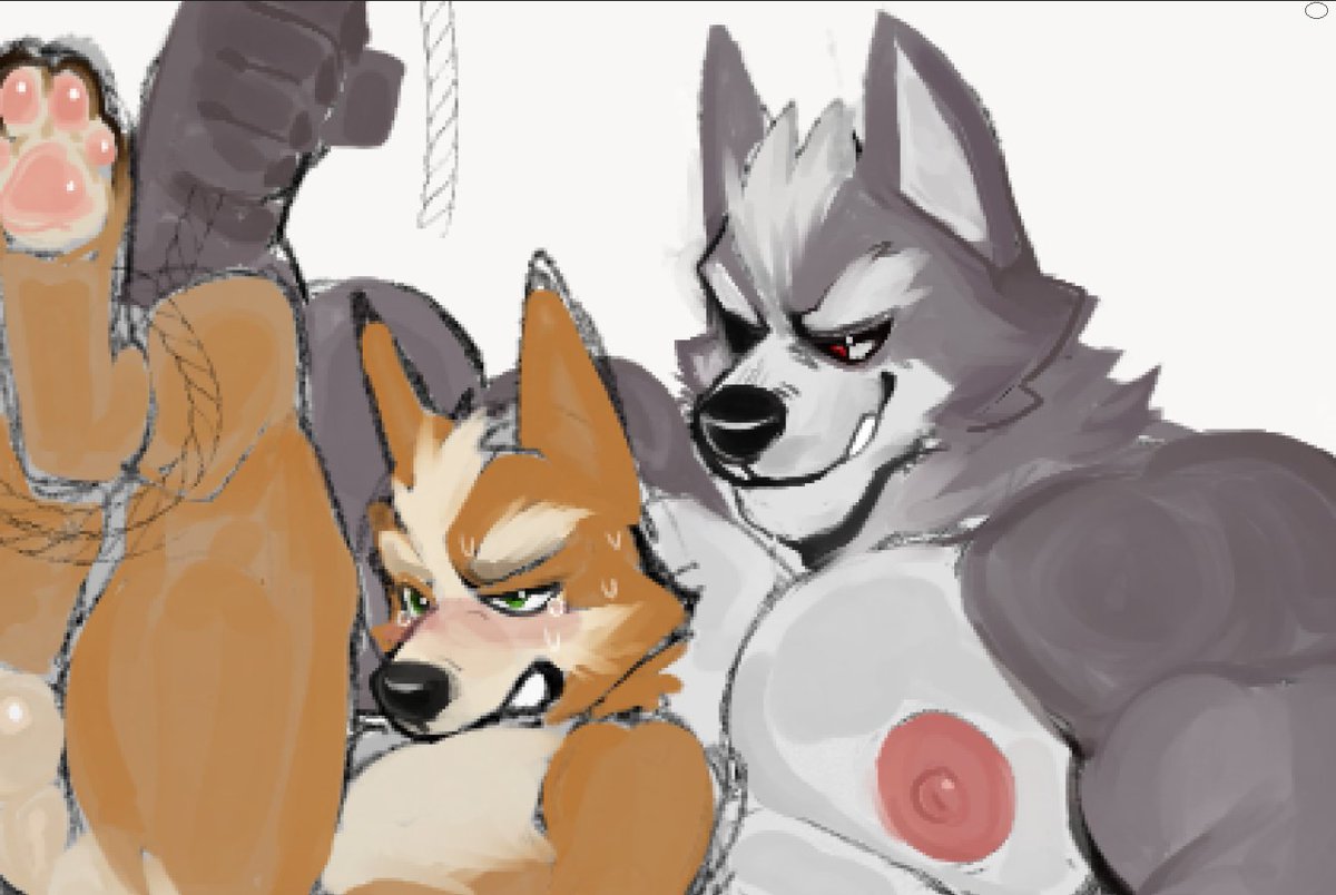 wolfador's tweet photo. starfox 🦊🐺 https://t.co/umNh4WcGiA