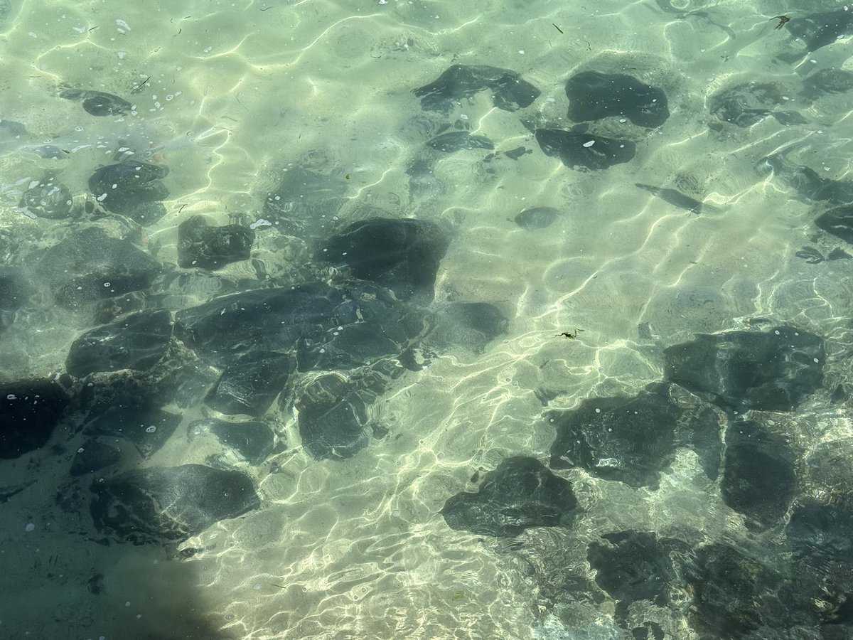 mr_wrighter's tweet photo. Around St Ives today. Sweaty 🥵 https://t.co/mXZWsZjppb
