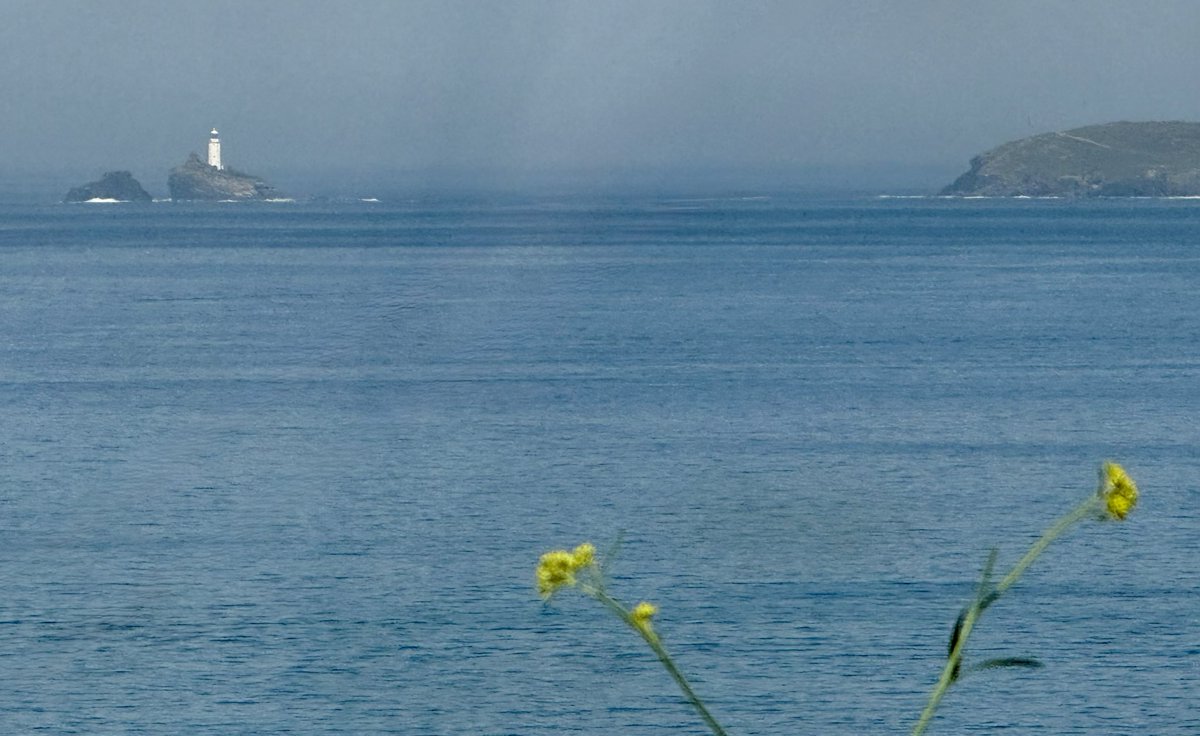 mr_wrighter's tweet photo. Around St Ives today. Sweaty 🥵 https://t.co/mXZWsZjppb