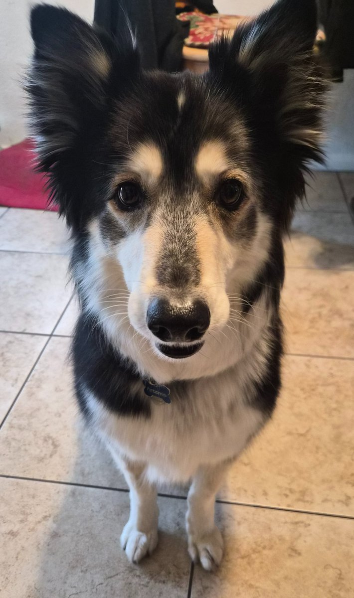 Astra & Aura 👾🎴 StarCrossed tweet media