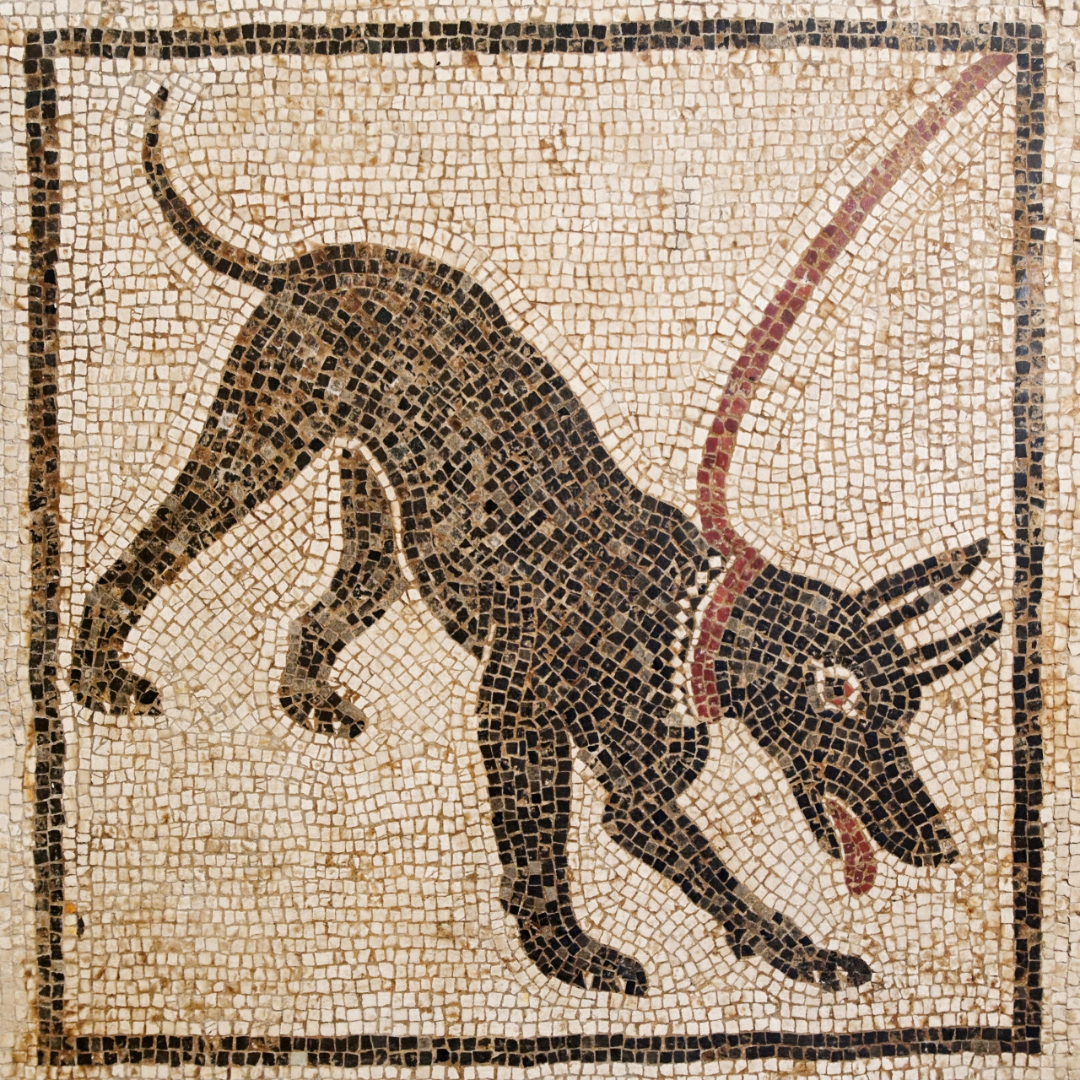 Archaeology & Art tweet media