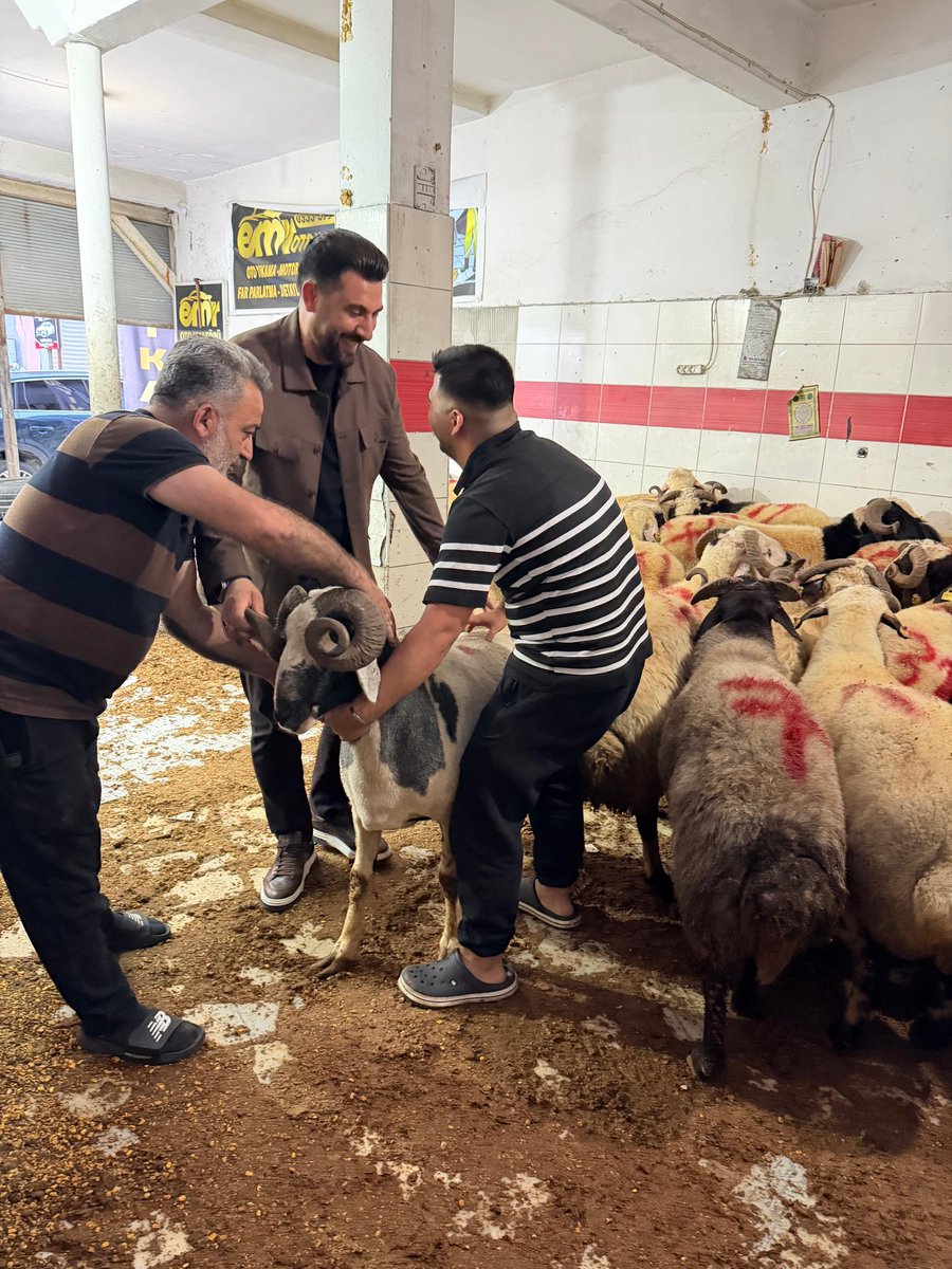 akincemal's tweet photo. Kurban pazarında kurban satışı yapan kıymetli hemşehrilerimizi ziyaret ederek hayırlı ve bereketli kazançlar diledik. Bayramın bereketini, samimiyetini ve kardeşlik ruhunu hep birlikte paylaşmanın mutluluğunu yaşadık.

Rabbim yapılan ibadetleri kabul, birlik ve beraberliğimizi daim eylesin.

@omerrcelik @abuyukgumus @Tamer_Dagli @KaramikSunay @abdullahdogru01 @farukaytek