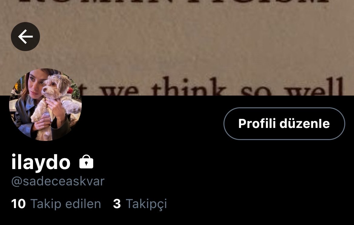 nora tweet media
