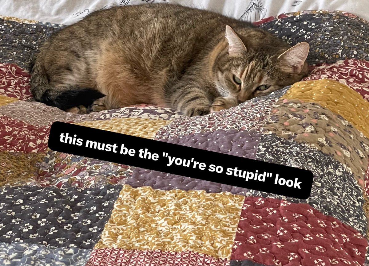 Oh Silly, it’s Lilly tweet media