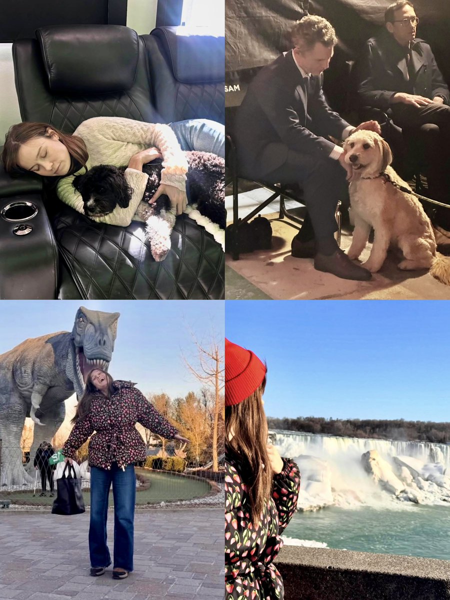 Brie Larson Brasil | Fã-clube tweet media
