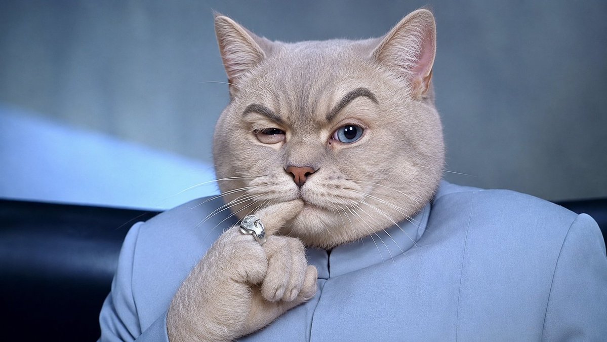 el gato malo tweet media