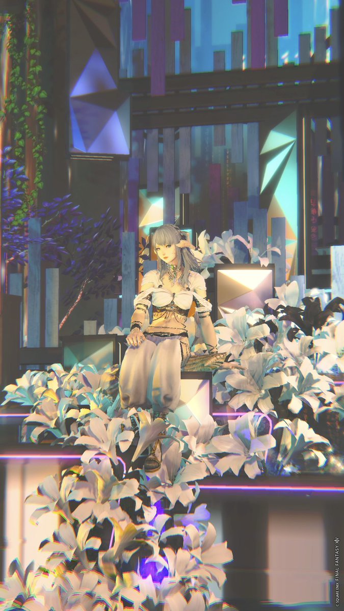 Sophie✧︎ tweet media