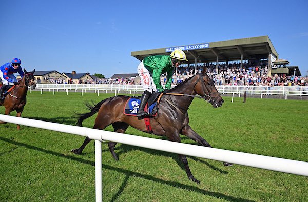 Gordon Elliott tweet media