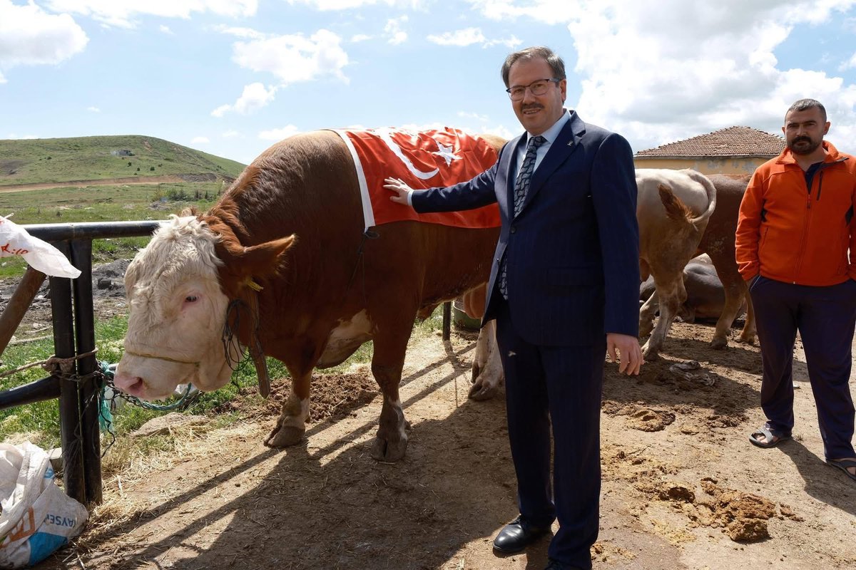 HasankandemirAv's tweet photo. Kurban Bayramınız mübarek olsun. https://t.co/Fi4UbrgUos