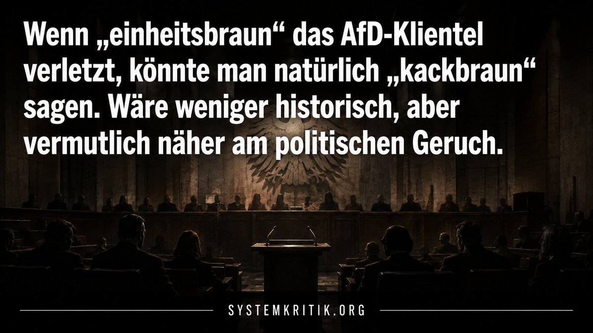 Systemkritik.org tweet media