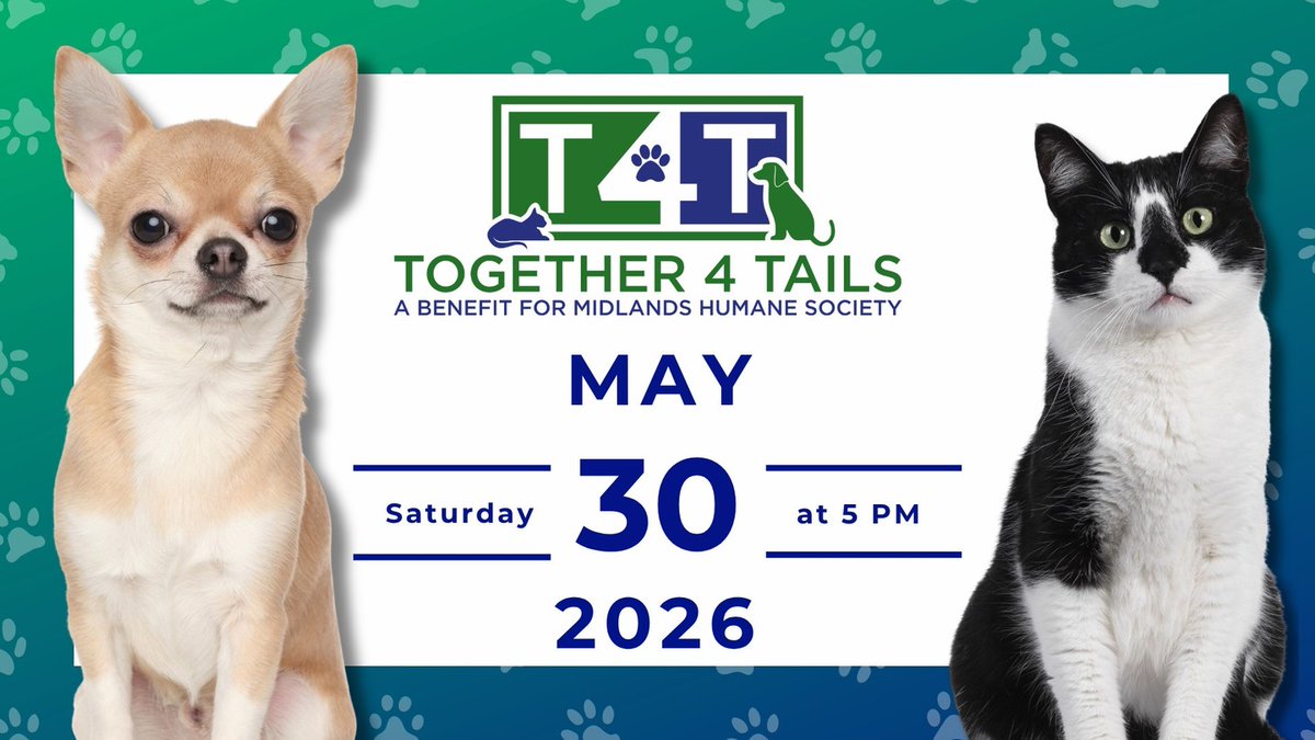 BackAtTheMac's tweet photo. 🐾 THIS WEEKEND! 🐾
Together 4 Tails is this Saturday at 5 PM. This fundraising event benefits the Midlands Humane Society. Join them and be part of something paws-itively amazing! 🐕🐈
Learn more 👉 https://t.co/X5KRQNRSRh https://t.co/z2UNDZUdki