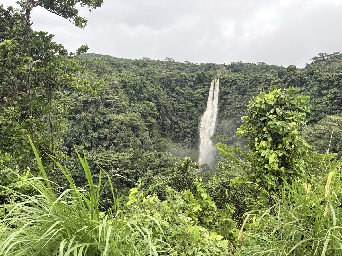 jdick67's tweet photo. I don’t often post, but this place is amazing. #Samoa https://t.co/45s2XlJdLQ
