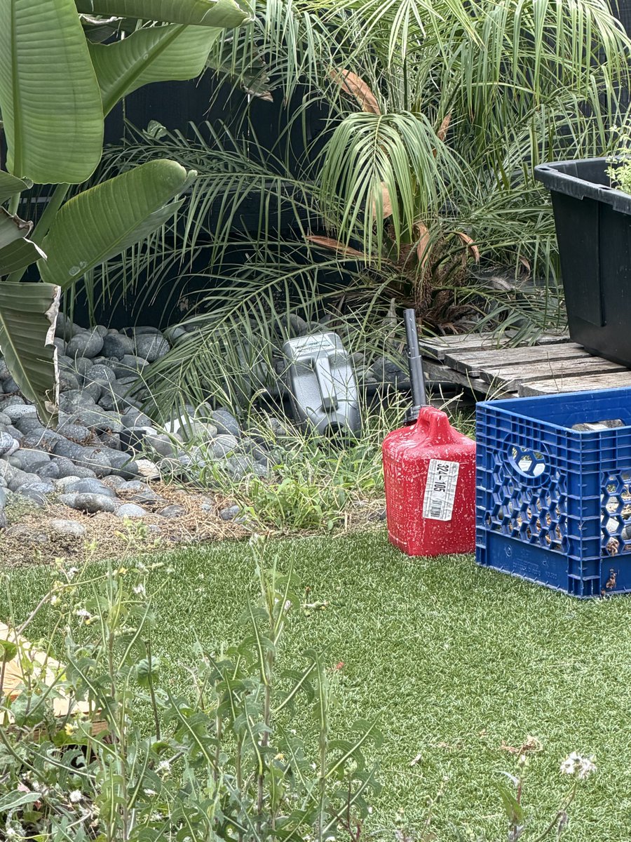 onesidedcoin_'s tweet photo. What am I on Easter island or something https://t.co/afQYFVYOoX