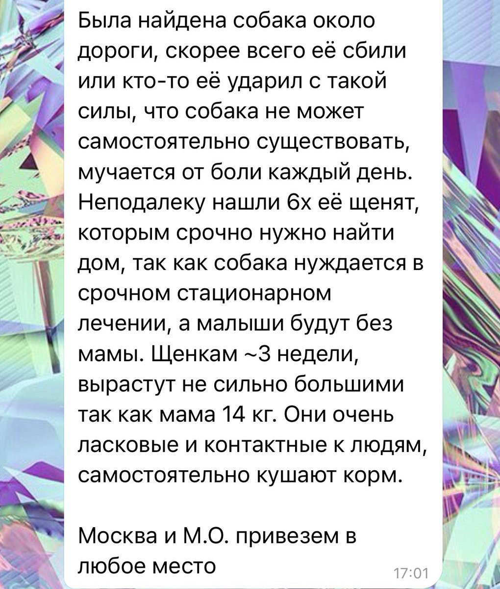 фемцельский архетип tweet media