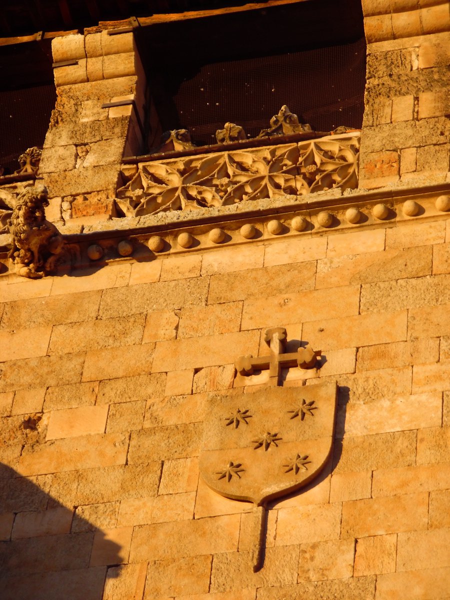 MiSalamancaMon's tweet photo. El oro está en #Salamanca https://t.co/RDZ6Ccx5fc