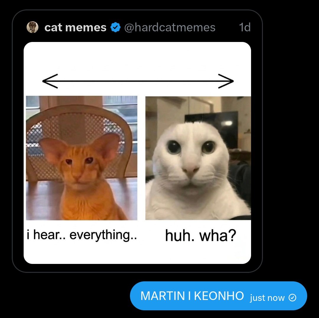 patryk mia tweet media