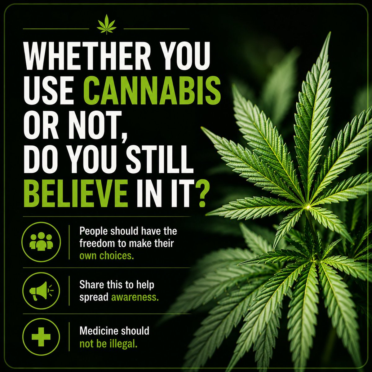 International Highlife tweet media