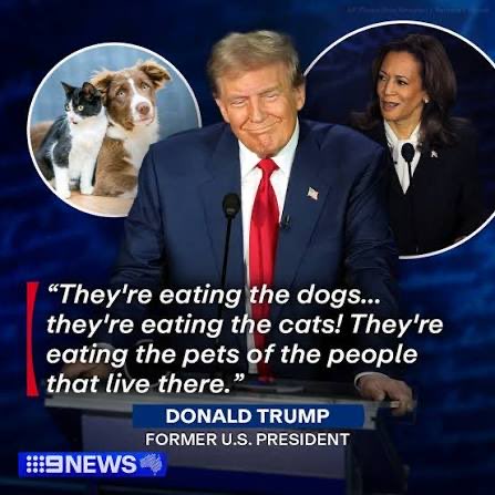 Tard tweet media