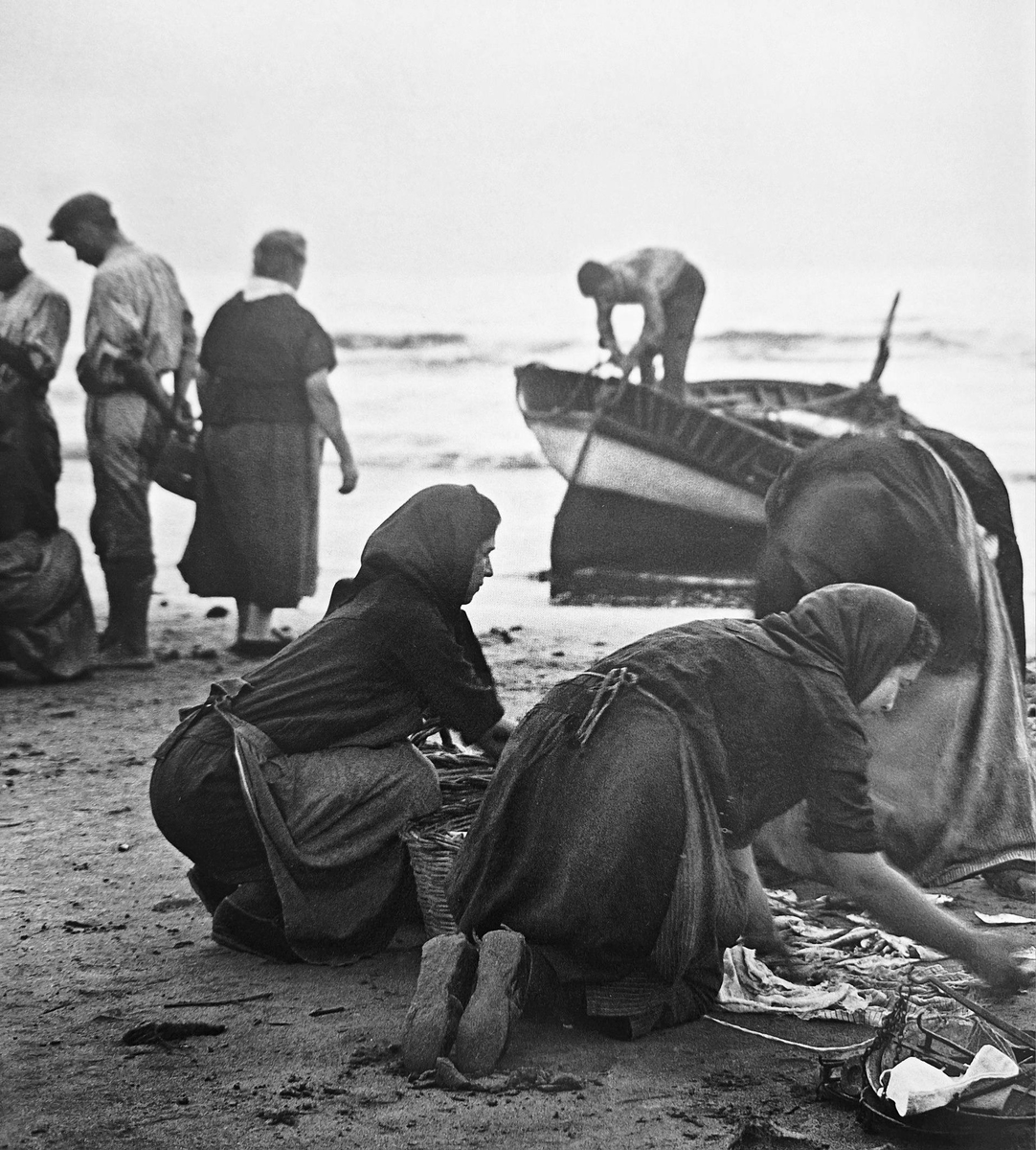 PassejantV's tweet photo. València, anys 1920. Platja del Cabanyal. Pescadors i dones separant el peix pescat (font: foto Tivoli) https://t.co/rZY0MOzEm9
